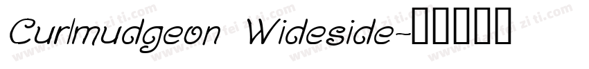 Curlmudgeon Wideside字体转换